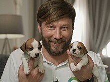 Плейлист для щенков и алоэ: как классическая музыка влияет на животных и растения?