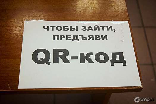 Дед Мороз в Великом Устюге будет принимать гостей только с QR-кодами