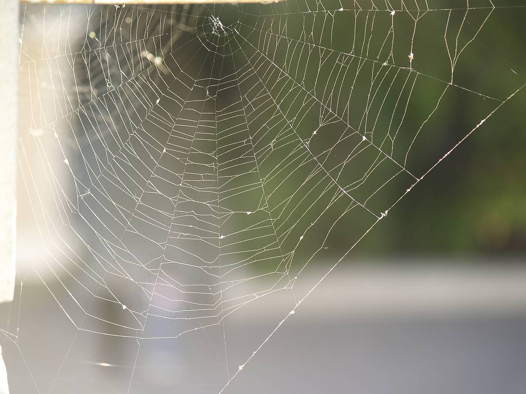 ���������&nbsp; ������ ���� ������ � ������ ����������� �������