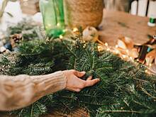 Россиян призвали сделать из новогодней елки напиток