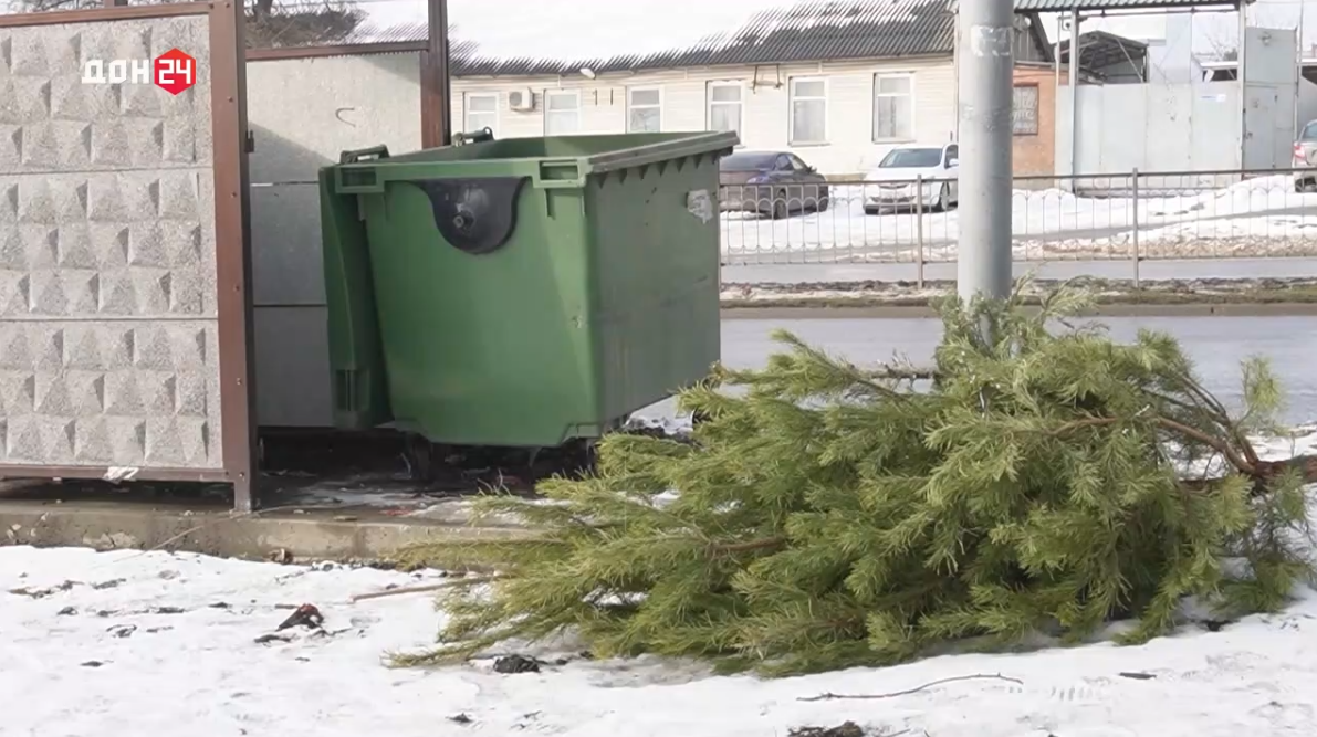 Не выбрасывайте елку: в Азове рождественское дерево можно будет сдать на переработку