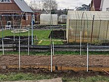 Список задач для работ в саду и огороде на апрель 2023