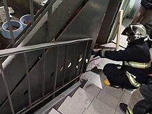 В Москве спасли застрявшую под лестницей кошку