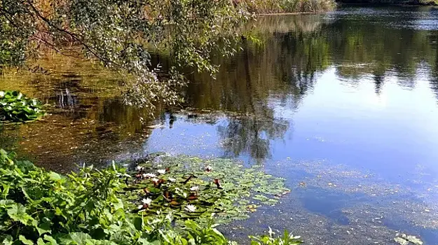 Специалисты Минприроды по поручению губернатора проверили информацию о загрязнении урочища Макарка в Безенчукском районе