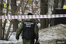 Следователи начали проверку из-за разрушения исторических домов в Шадринске