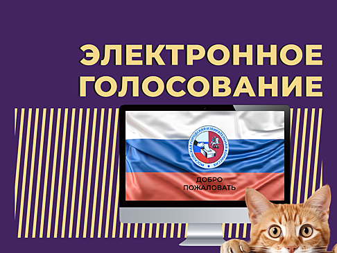 Эксперты в IT показали прозрачность ДЭГ в ходе эксперимента