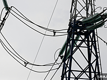 Эколог Шкрадюк заявил о безопасности проводов ЛЭП