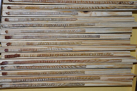 "Рослесинфорг": экспорт российских пиломатериалов снизился на 20,9% по итогам первого квартала