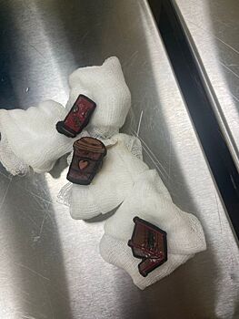 Нижегородские ветеринары извлекли три аксессуара для тапочек из желудка кота