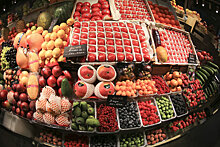 Роспотребнадзор дал рекомендации по выбору овощей и фруктов