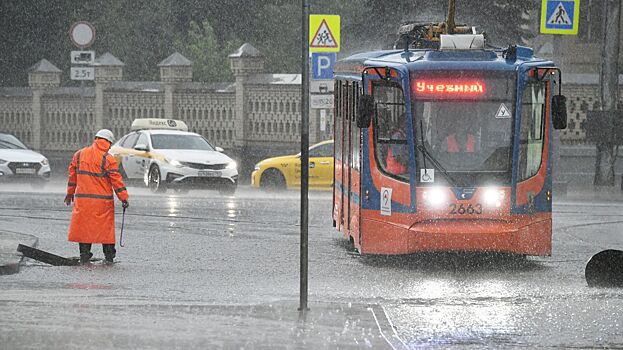 Около 40% месячной нормы осадков может выпасть в Москве с четверга по пятницу