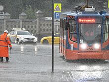 Около 40% месячной нормы осадков может выпасть в Москве с четверга по пятницу