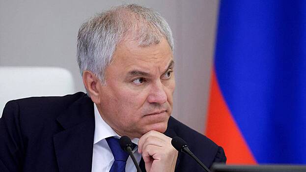 Володин поручил подготовить обращение к кабмину из-за изъятия активов РФ