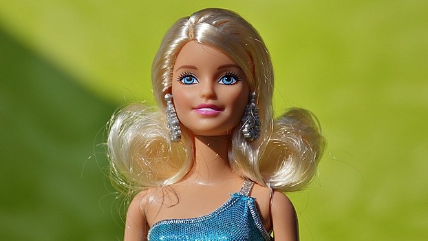 Мужчина отправился в колонию за кражу куклы