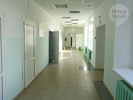 В Пензенской области в 2025 году проведут ремонт в 15 школах