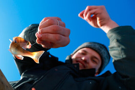 В Зауралье запрет платной рыбалки может привести к запустению озер