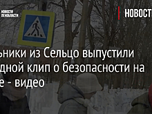 Школьники из Сельцо выпустили очередной клип о безопасности на дороге - видео