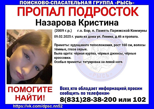 15-летняя девушка с татуировкой пропала в Борском округе