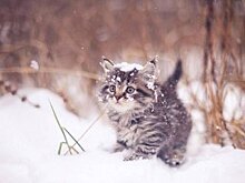 В Башкирии сохранится холодная погода