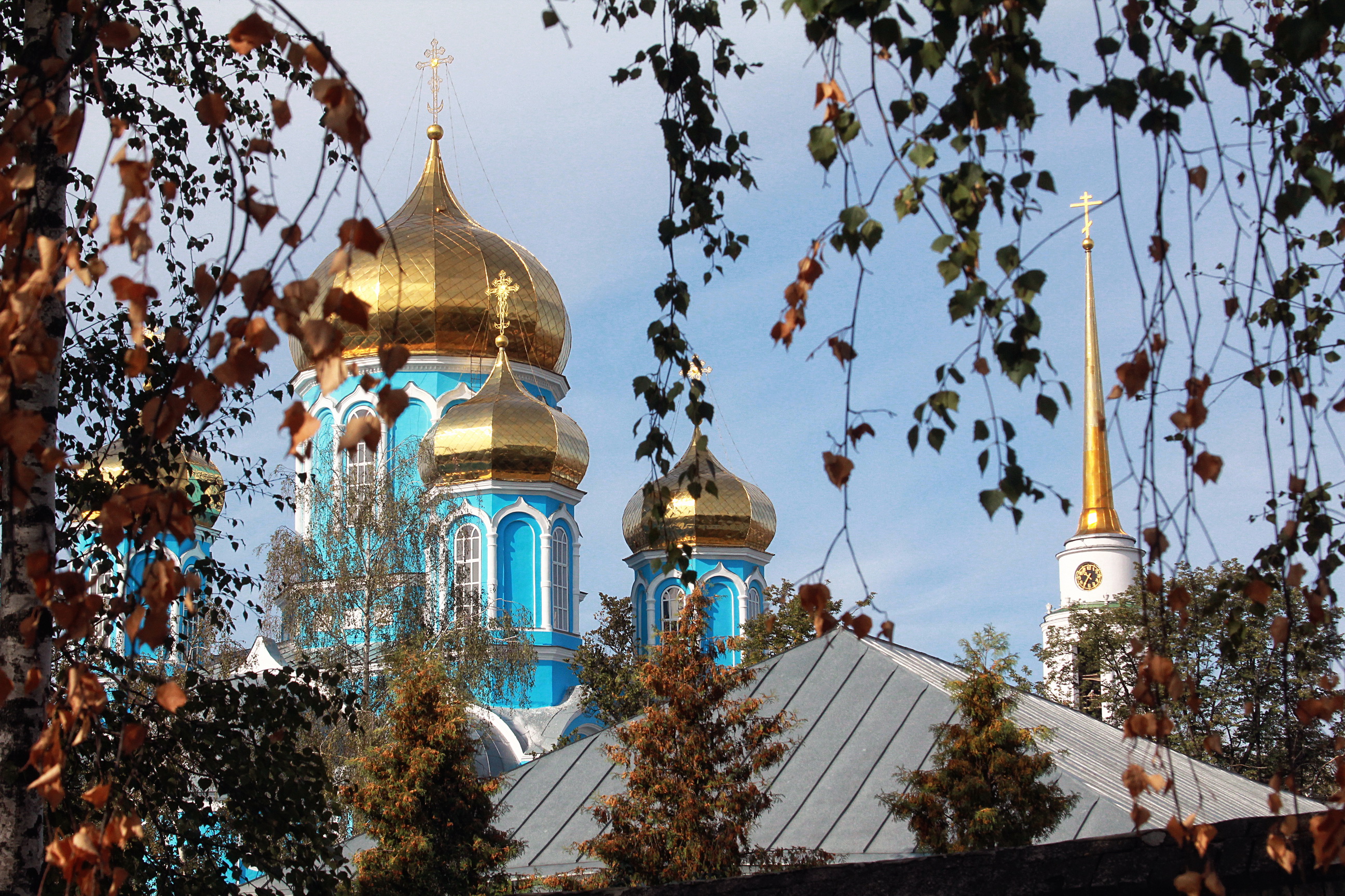 Задонск, Липецкая область, Россия, Европа