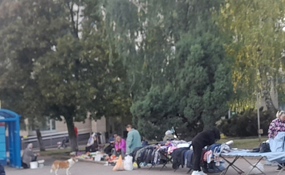 В Курске выявили точки незаконной торговли