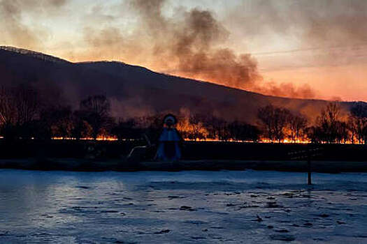 Mash: в 14 муниципалитетах Приморья ввели режим реагирования из-за пожаров