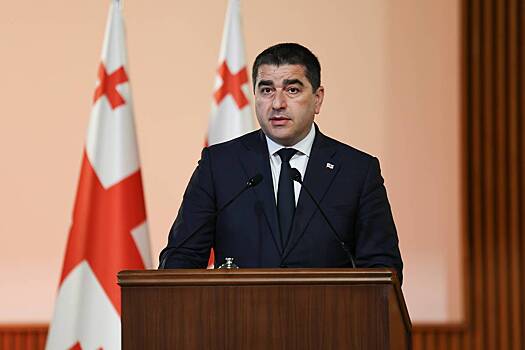 В Грузии рассказали о новых попытках вмешательства Запада