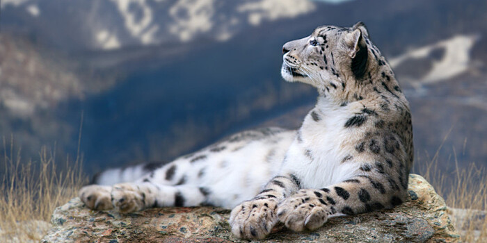 Нацпарк на Памире и поселение Саразм в Таджикистане попали под защиту ИСЕСКО