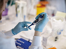 В России создадут несколько вакцин от коронавируса