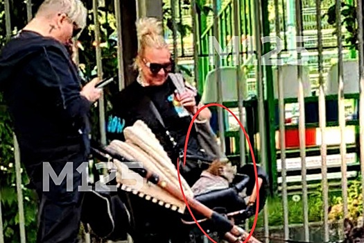 Необычный питомец москвичей развеселил пользователей сети