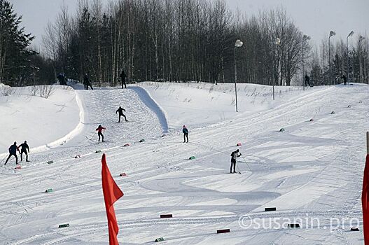Соревнования Открытого Кубка Удмуртии по лыжным гонкам стартовали в республике