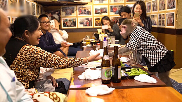 Забавные обезьянки 30 лет работают официантами в японском кафе