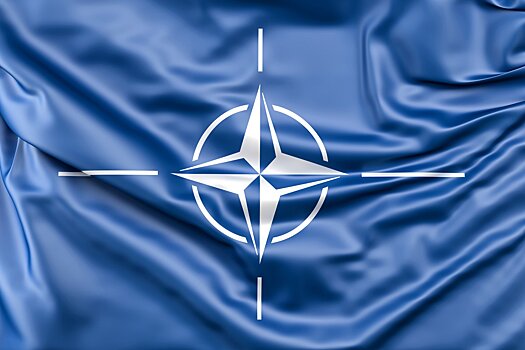 Политолог озвучил итоги саммита НАТО