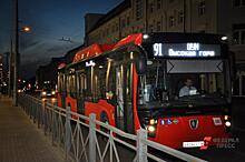 В Петербурге могут появиться еженощные автобусы