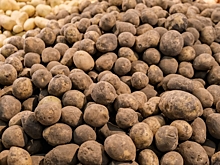 Выяснилось, как избежать покупки ядовитого картофеля