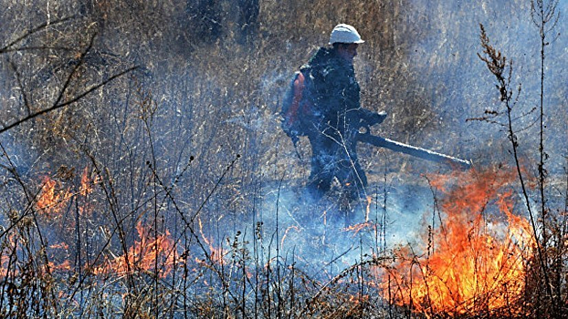 В Ижевске объявили пожароопасный сезон с 25 апреля