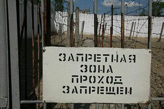 «Черных вдов» бойцов СВО предложили сажать в тюрьму на 10 лет