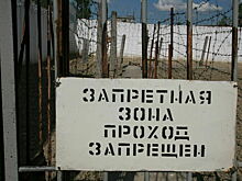 «Черных вдов» бойцов СВО предложили сажать в тюрьму на 10 лет