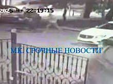 В Москве на видео попало, как мигрант порезал ножом местного жителя на парковке