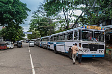 На Шри-Ланке запустят автобусы для женщин в рамках борьбы с домогательствами