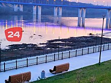 Вода в Оке и всех ее притоках пошла на спад