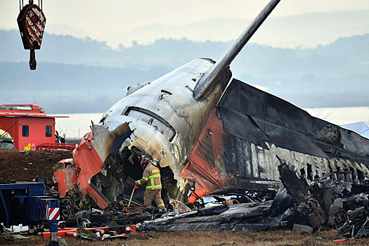Депутаты проголосовали за новое расследование унесшей 179 жизней авиакатастрофы