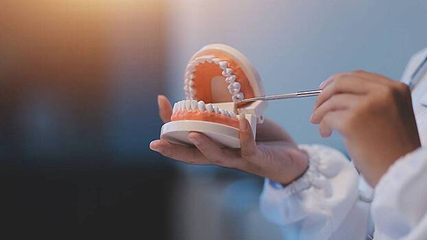 Стоматолог Вольберг рассказал, как меняются лицо и прикус после удаления зубов мудрости