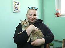 Как Буся и Муха нашли дом. Жительница Кунцева Елена Смирнова спасает бродячих животных