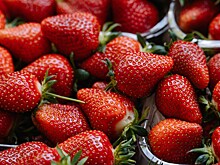 Сезон клубники в Москве. Как весенние заморозки сказались на стоимости ягоды?