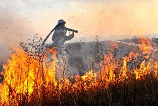 Более 20 гектаров травы сгорело в Нижегородской области 1 мая
