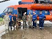 Кинологи Тюрьмы-2 ГУФСИН России по Красноярскому краю помогли найти в енисейской тайге потерявшегося после тушения пожара сотрудника Лесопожарного центра