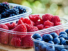 На российских рынках продают фальшивые лесные ягоды – эксперт