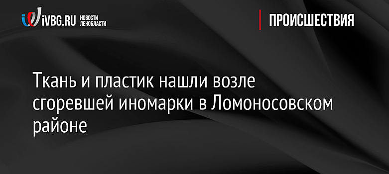 Ткань и пластик нашли возле сгоревшей иномарки в Ломоносовском районе