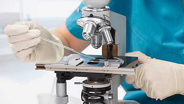 Студент ДВФУ выявил новый эпидемиологический риск в АТР